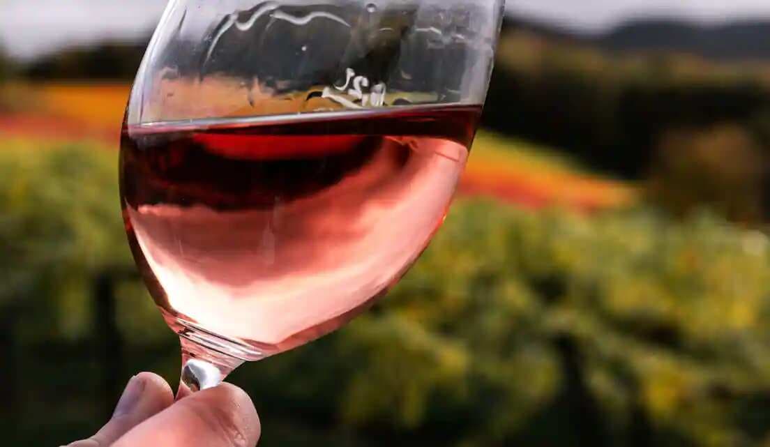 The making of France's first cannabis wine