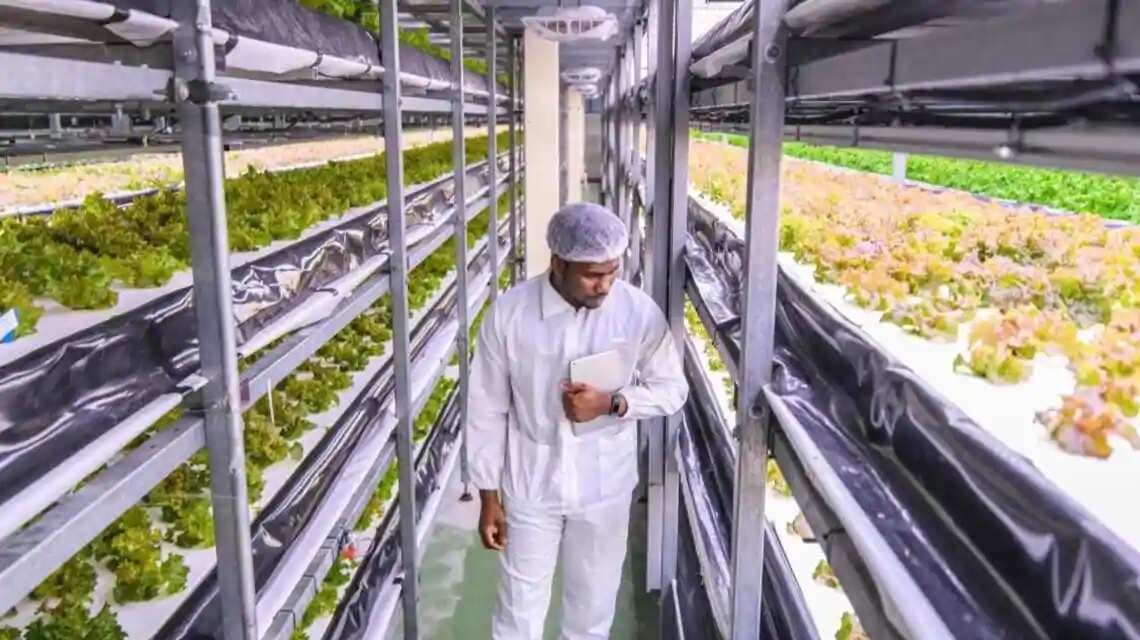 It's cheaper to grow marijuana than food in vertical farms