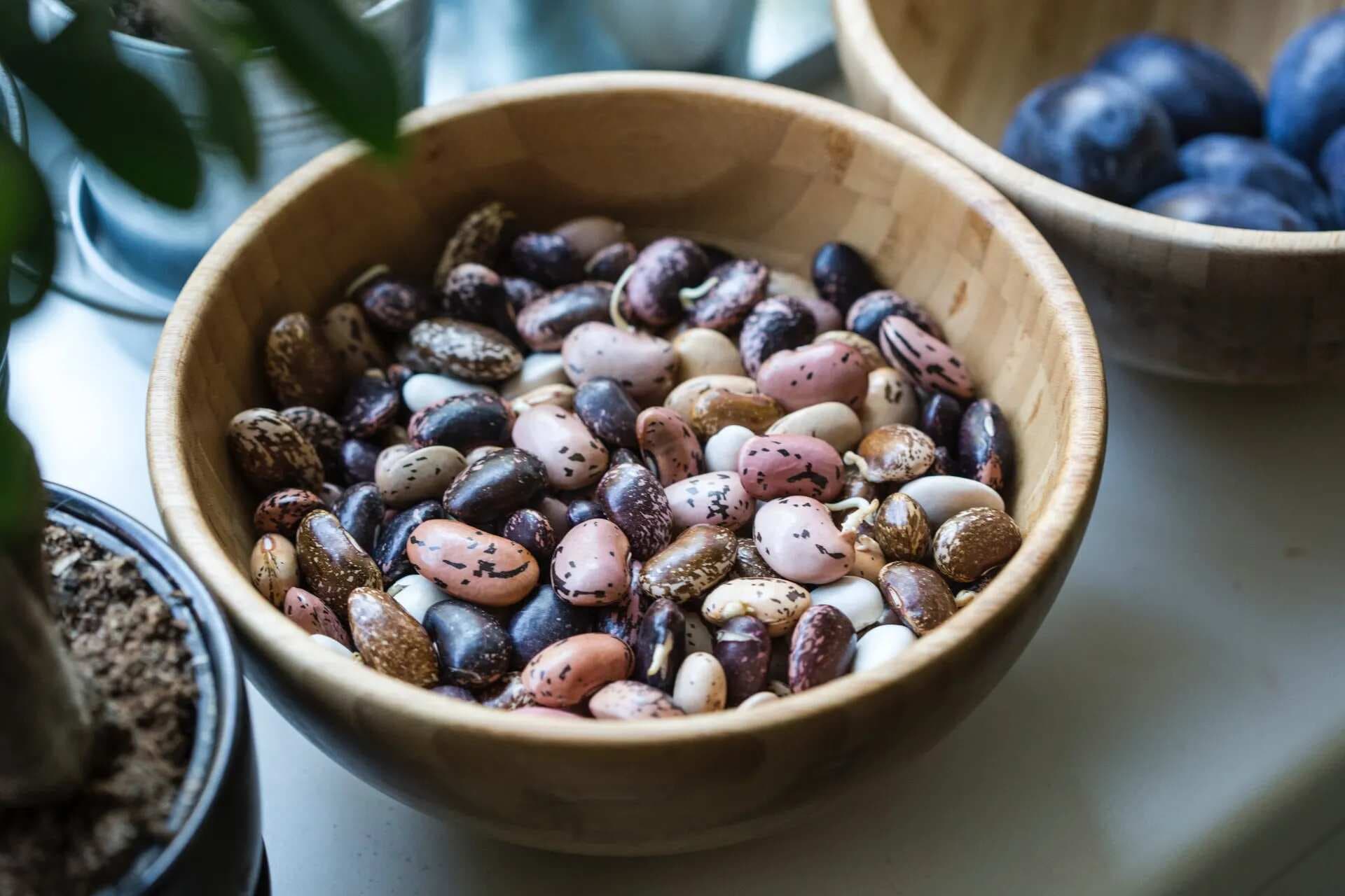 Kidney Beans: Is it simply a comfort food with no nutrition? 