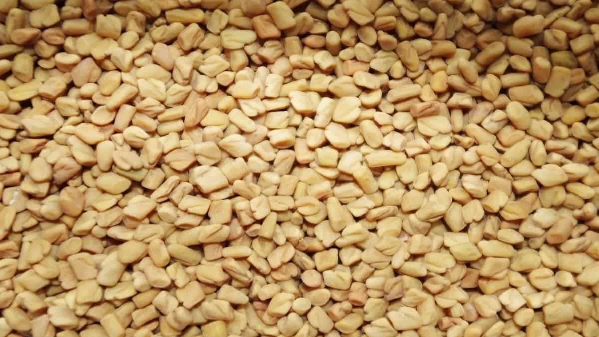 5 Benefits of Starting Your Day With Soaked Fenugreek Water