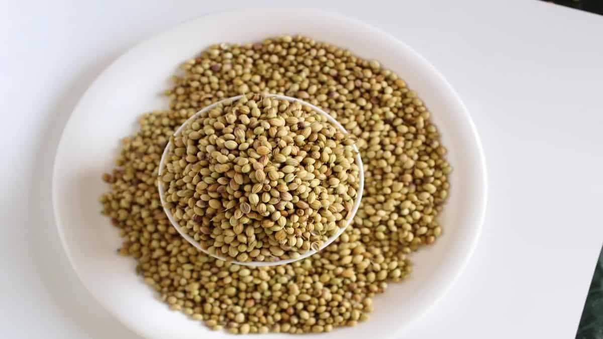 5 Amazing Health Benefits Of Red Clover Seeds