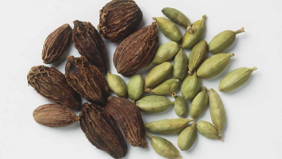Green And Black Cardamom: How Both Varieties Are Used In Different Dishes