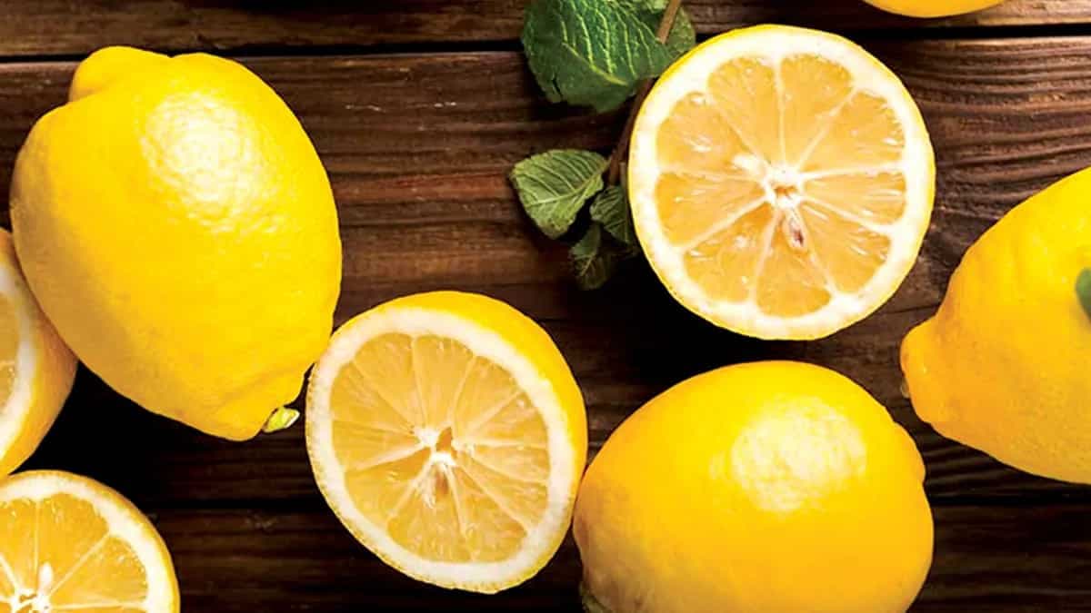 Largest Fruit Battery Made With Lemons Creates World Record