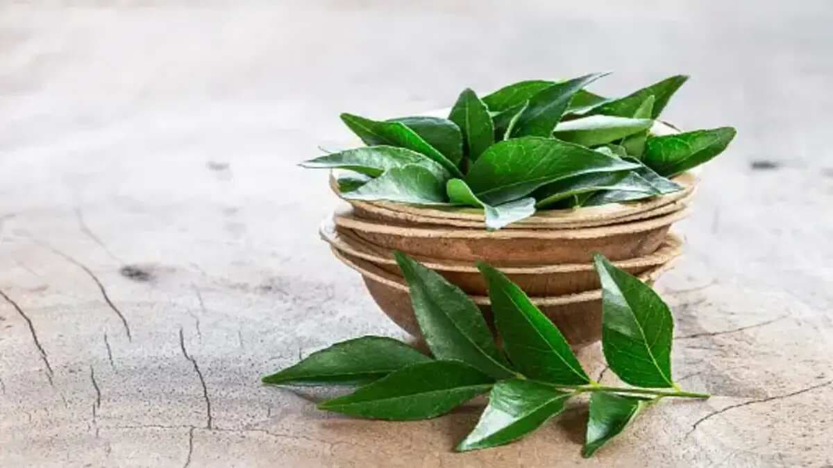 Digestion, Weight Loss And More: 5 Benefits Of Curry Leaves