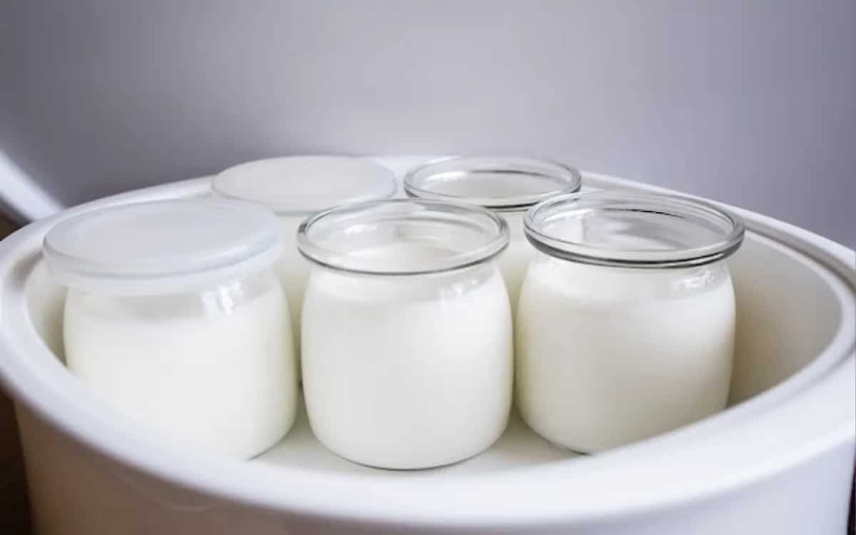 Prepare Delicious Yogurt At Home With Top 5 Yoghurt Maker