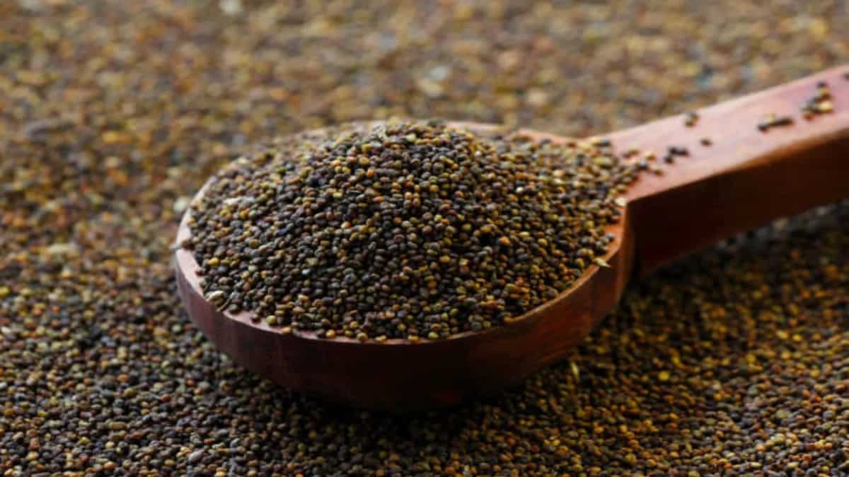 Jakhya: The Underrated Spice From Uttarakhand 