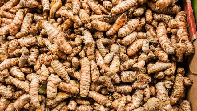 GI Tag Application Accepted For Telangana's Armoor Turmeric