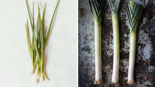 Spring Onion Vs. Leek: Know The Difference And How To Use Each