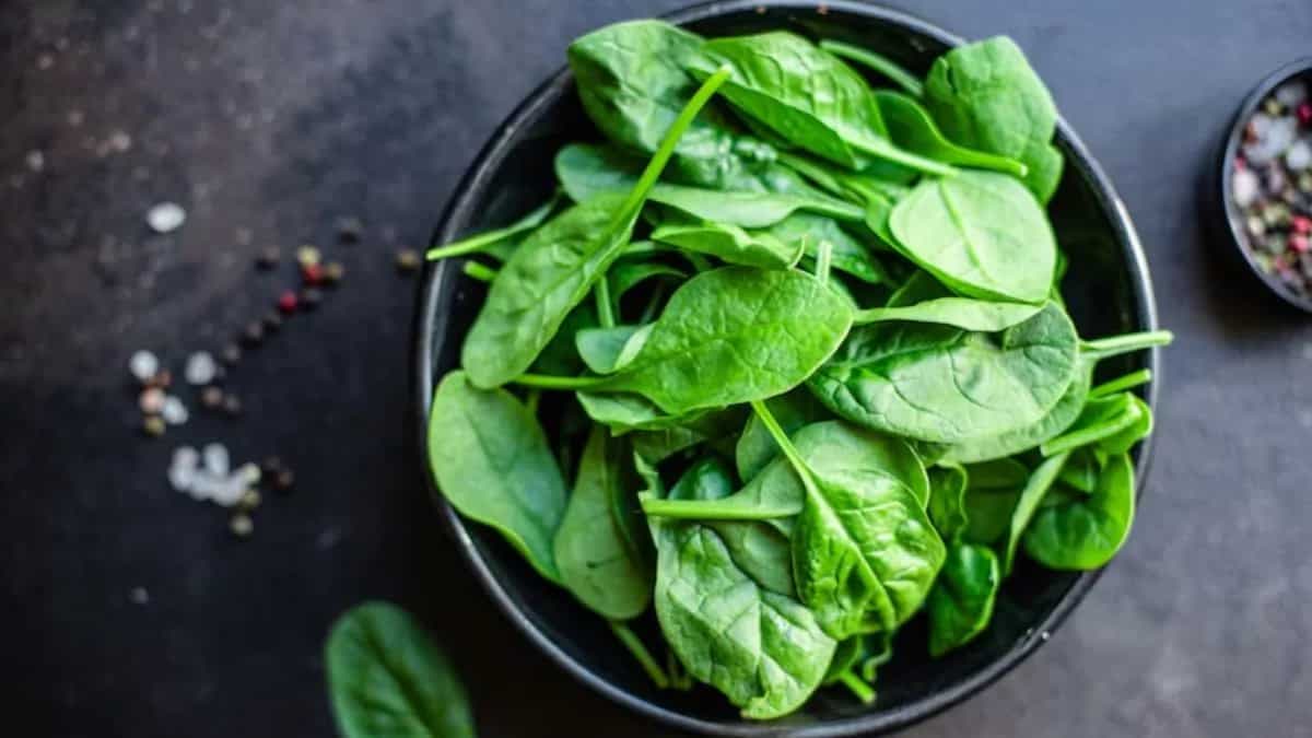 7 Tips To Preserve Spinach In The Refrigerator For Months