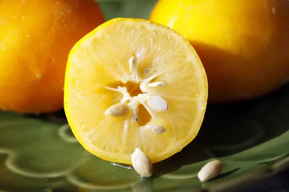 Have Some Lemon Seeds? Here's How To Include In Diet And Why
