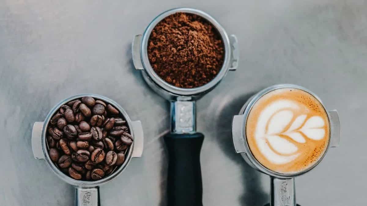 Exploring Coffee's Essence: Identify High-Quality Coffee 