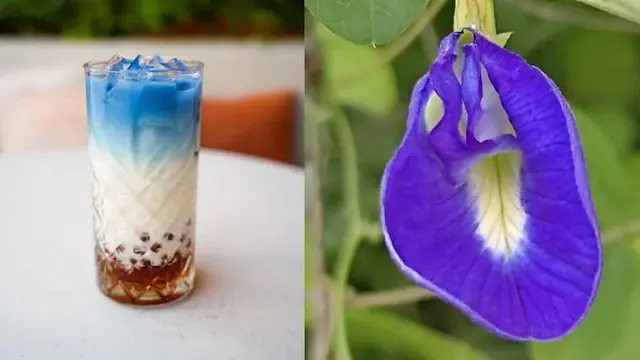 What Is Blue Matcha? The New Viral Drink That's Taking Over