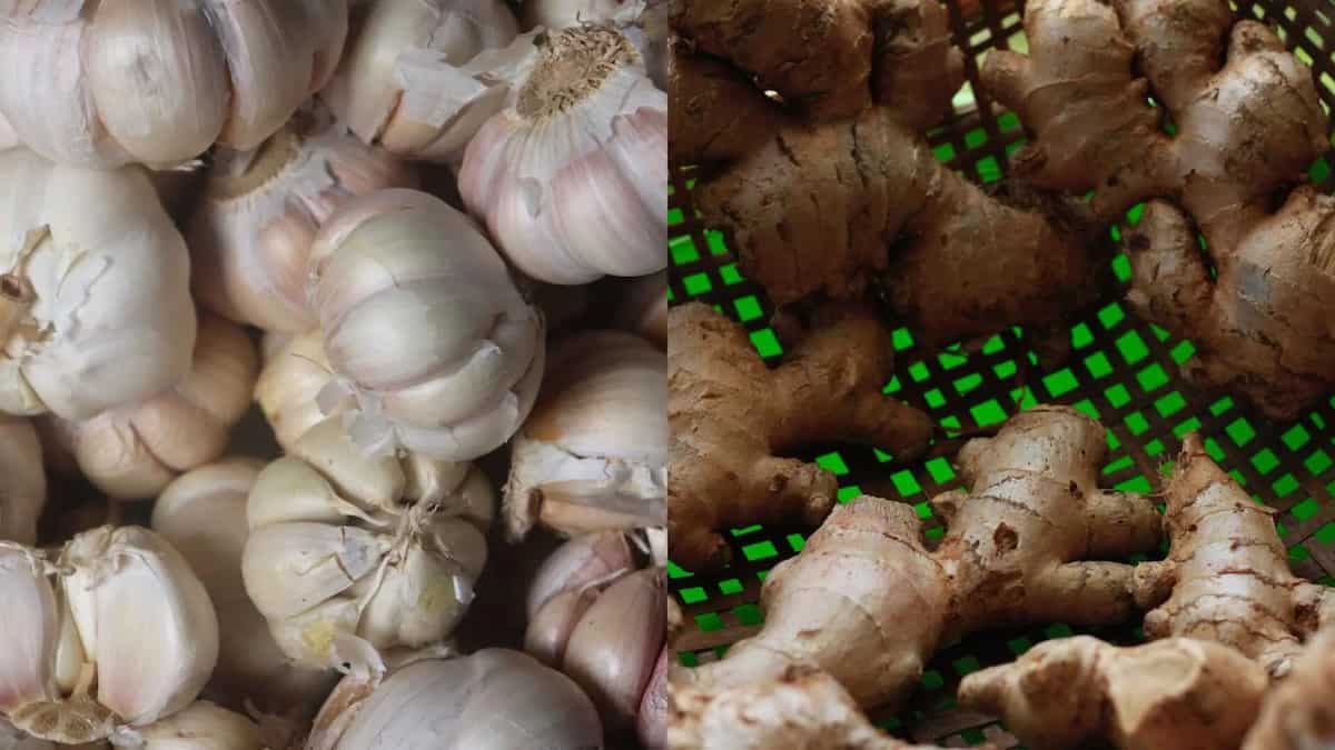 Ginger And Garlic: 8 Health Benefits Of This Potent Duo