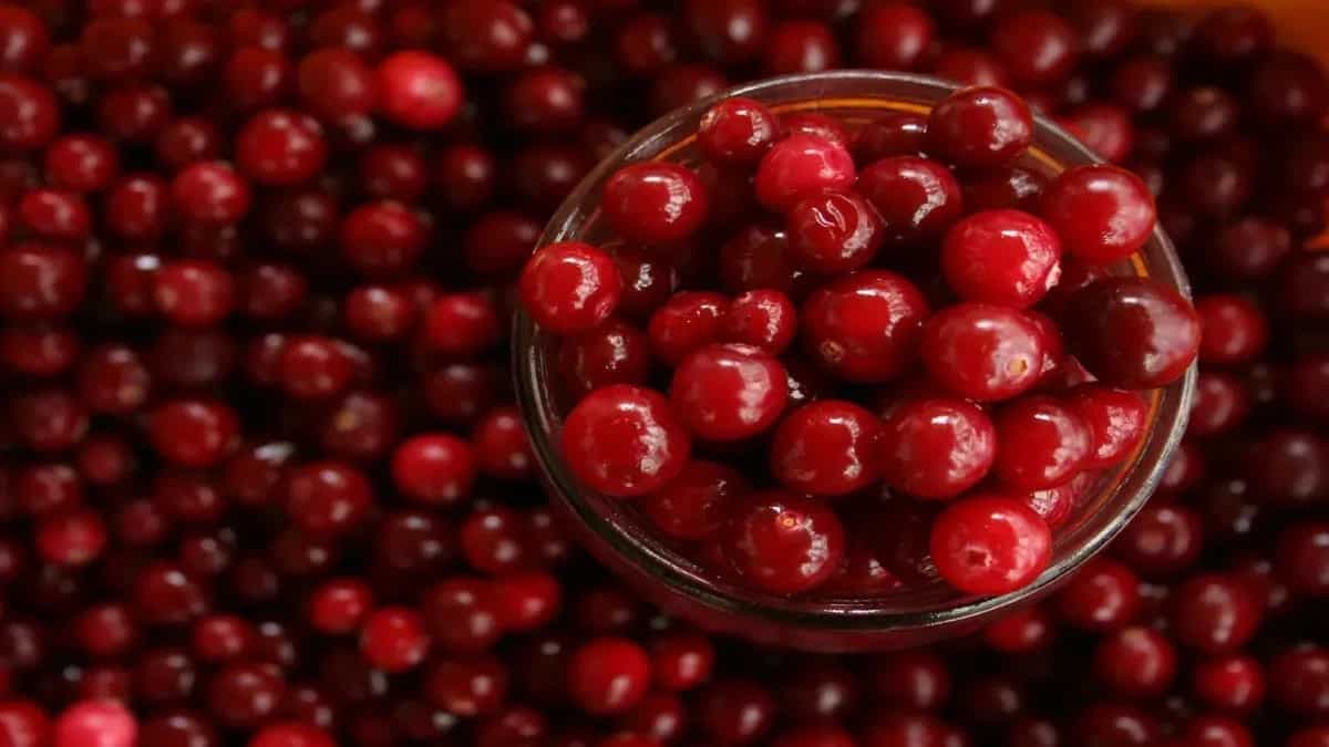 7 Health Benefits Of Cranberries To Explore This Summer Season