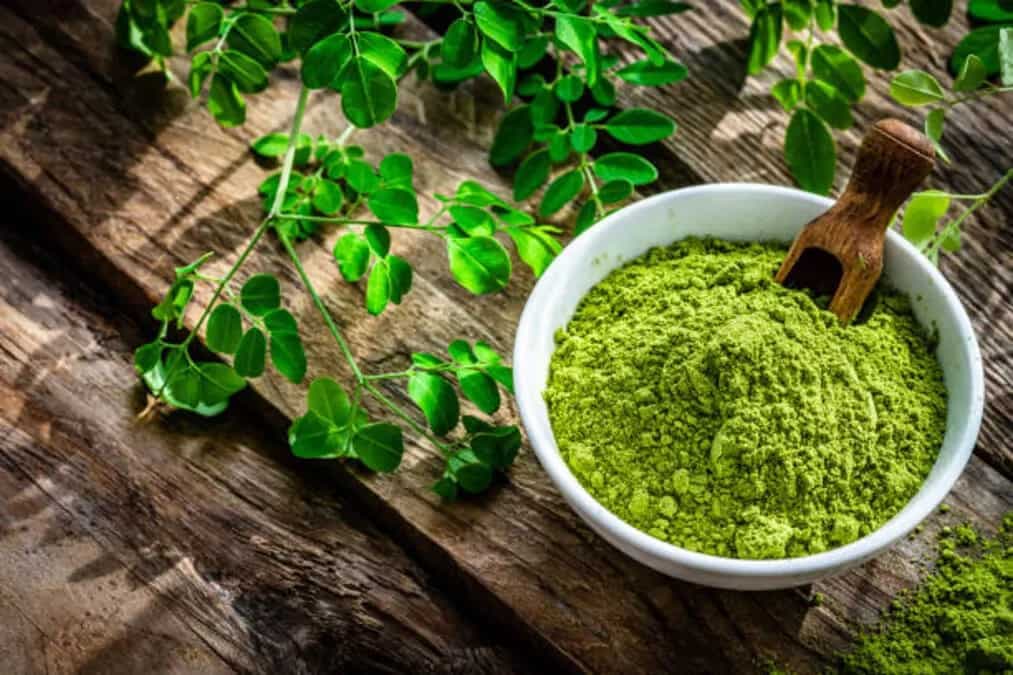 Elevate Your Health With 6 Nutrient-Packed Moringa Delights