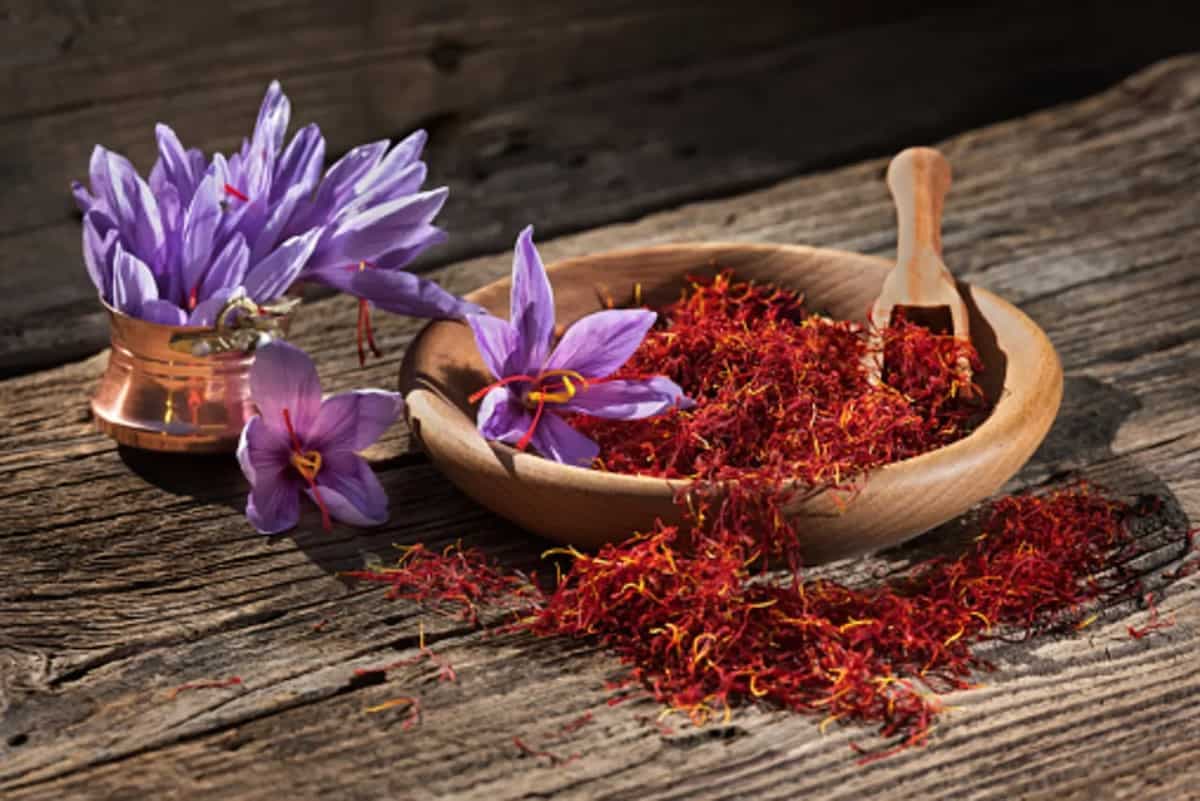Saffron Vs Safflower: 4 Key Differences Between The Ingredients