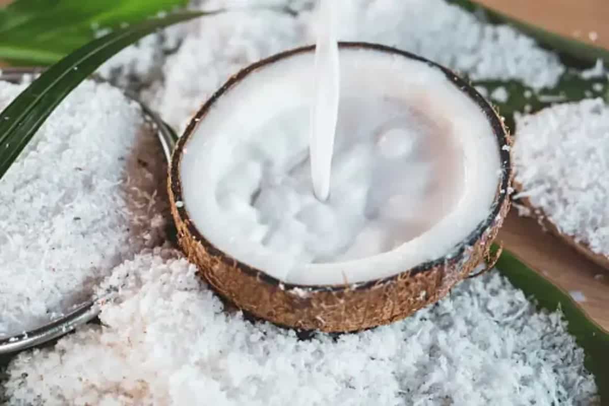 How To Make Fresh Coconut Milk For A Healthy Home-Made Delight?