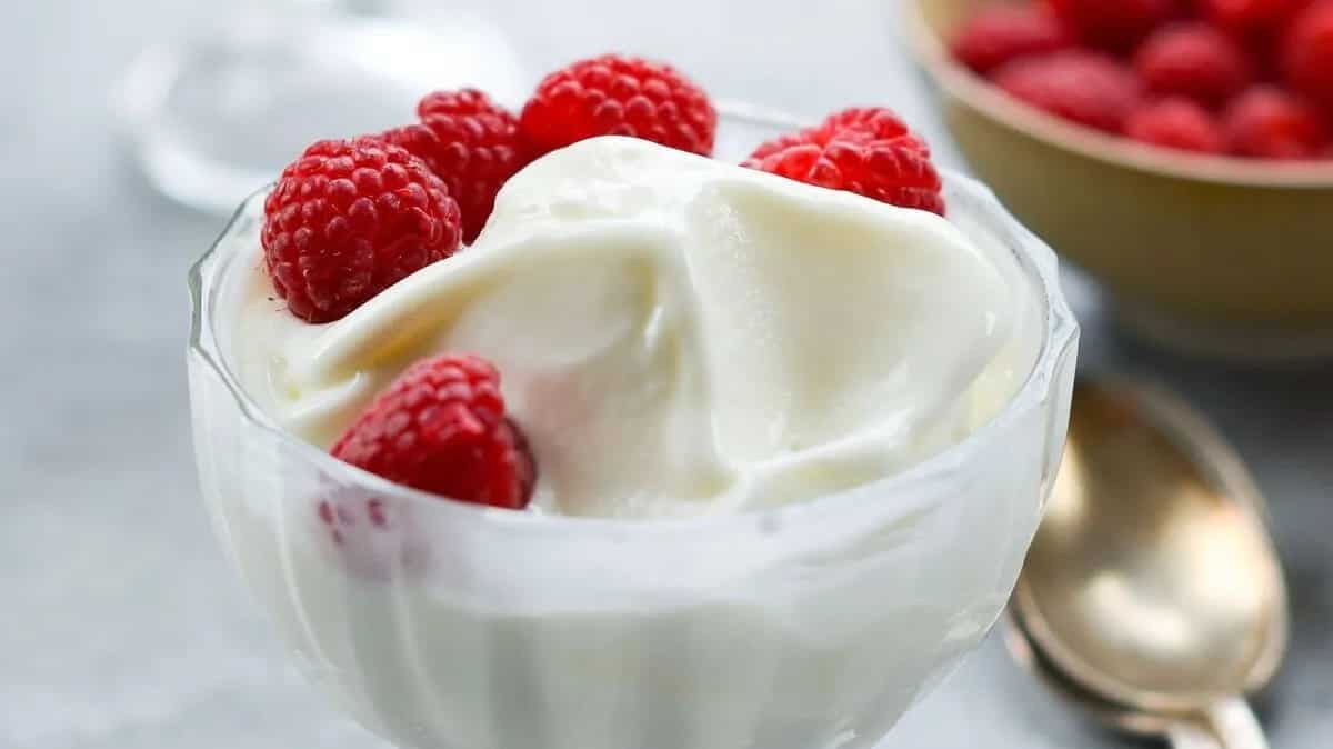 Delicious Frozen Yoghurt Recipe For Summer Season