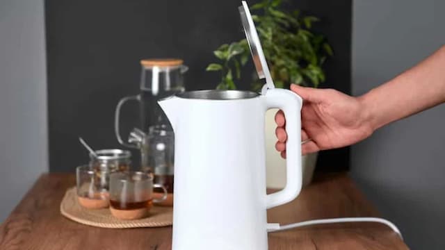 Best Programmable Kettle Under Rs 5000