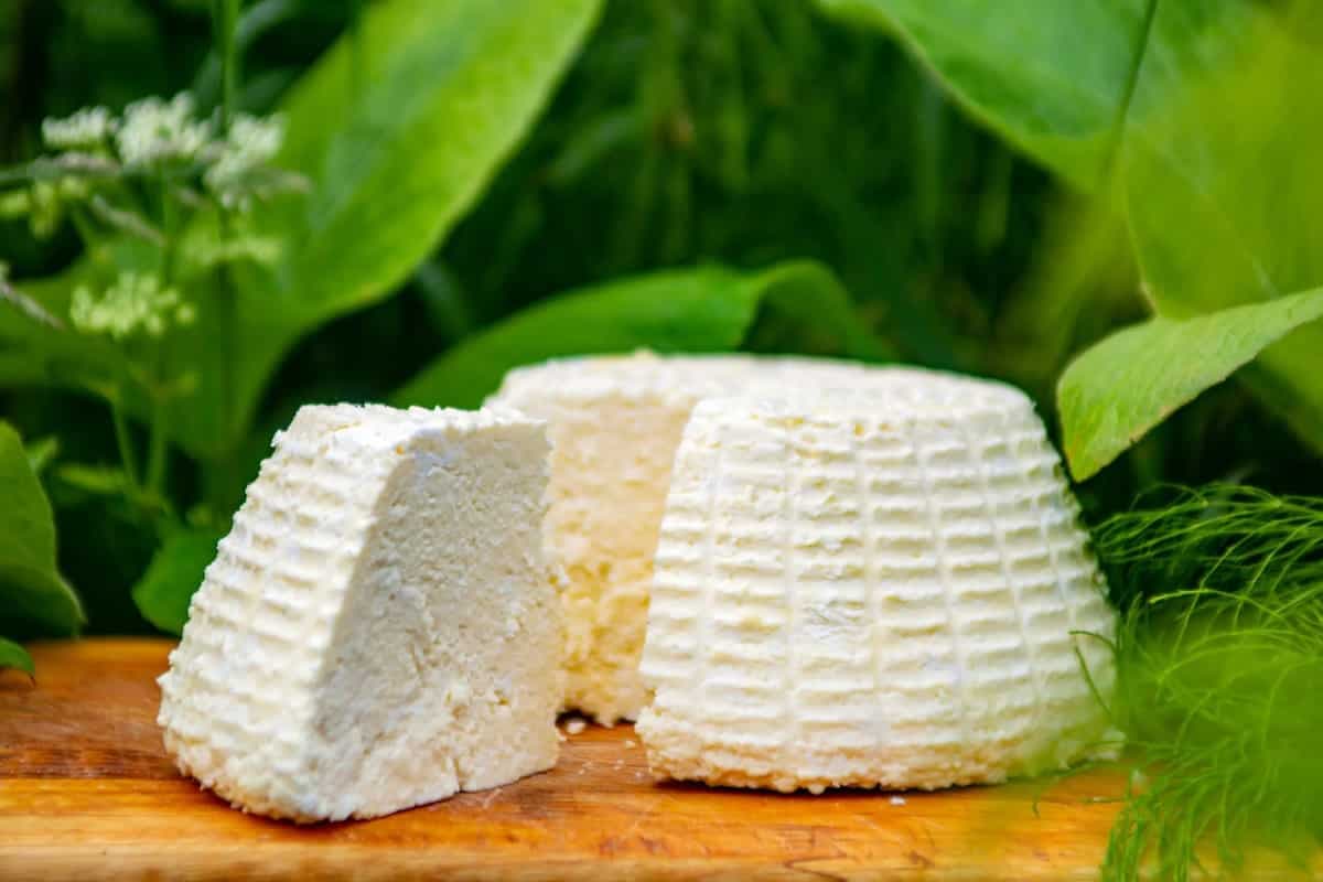 Ordering Cheese From Other Cities? 4 Expert Tips That Can Help