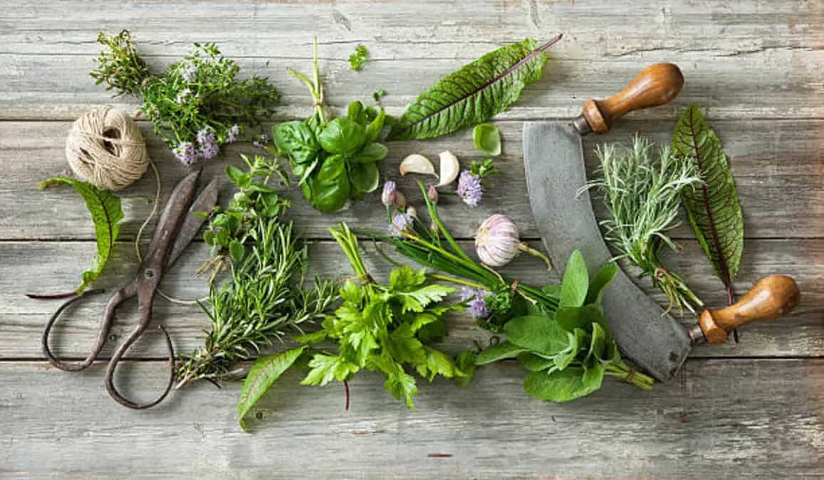 Explore The 8 Flavourful Herbs Used In Italian Cuisine