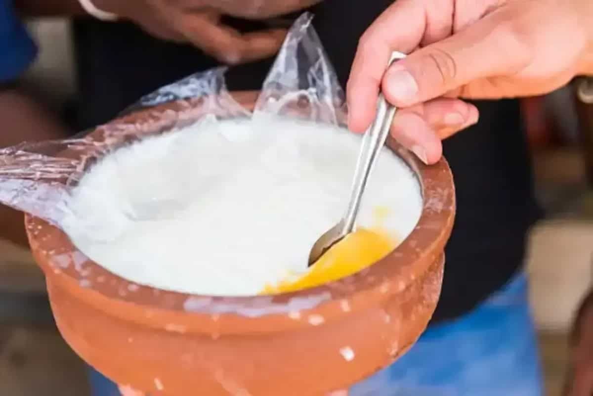 A Guide To 5 Best Utensils For Setting Curd In Summer