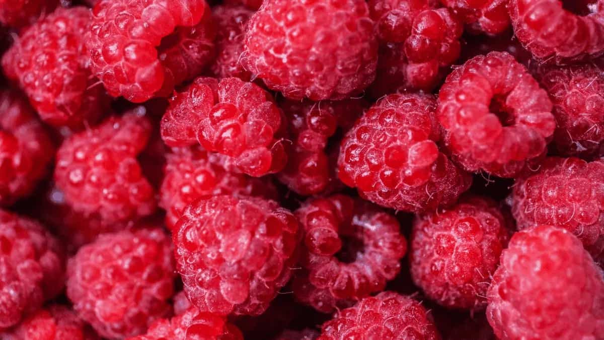 Raspberry Health Benefits: 5 Reasons To Make It A Summer Staple