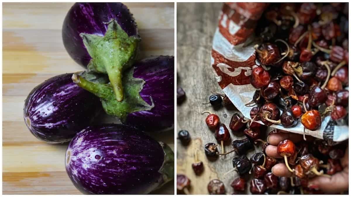 Spiny Brinjal And Ramnad Mundu Chillies Get The GI Tag