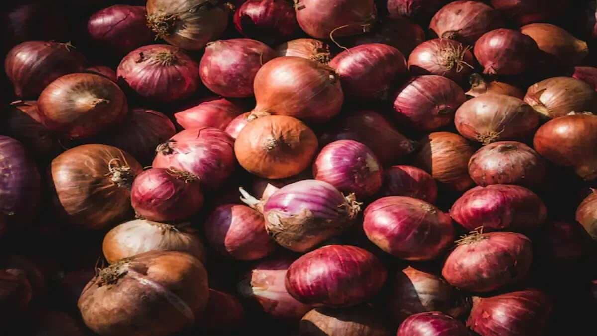 5 Quick Tips To Prevent Onions From Sprouting In Summer 