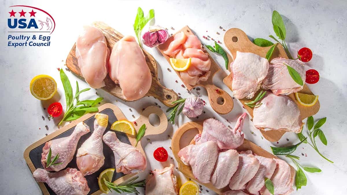 Decoding The Health Benefits Of Poultry Protein 