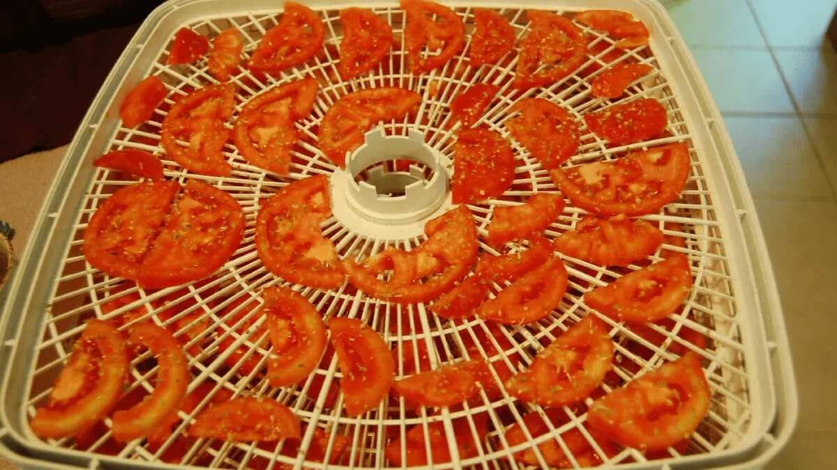 Food Dehydrator Vs. Freeze Dryer: Which One Is Better For You?
