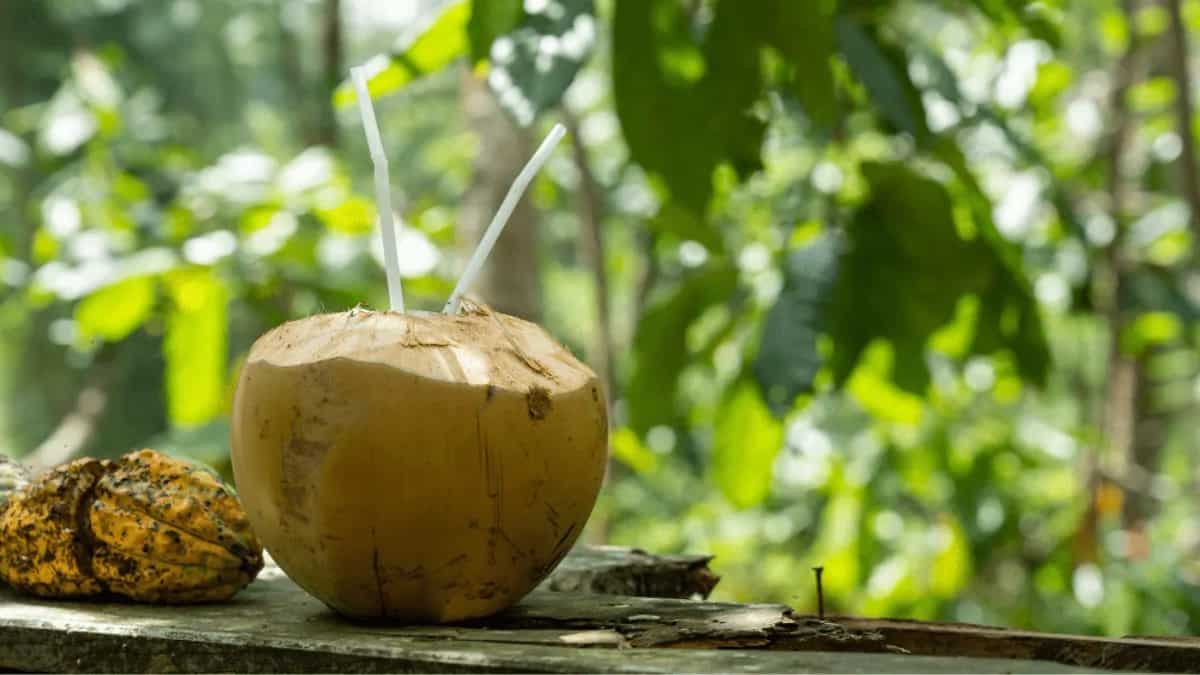 Coconut Water: 5 Benefits Of Consuming It During Summer