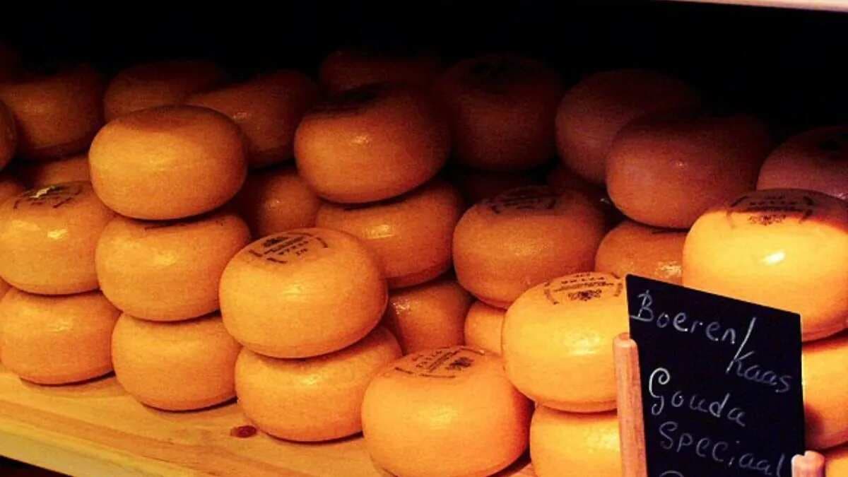 Monchego, Havarti: 10 Unique Cheese Varieties