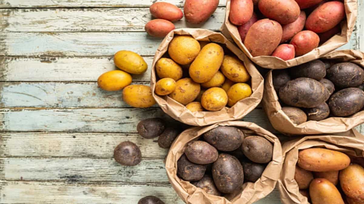 Potatoes Varieties You Should Learn About