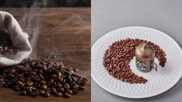 Robusta vs Arabica: What Is The Difference?