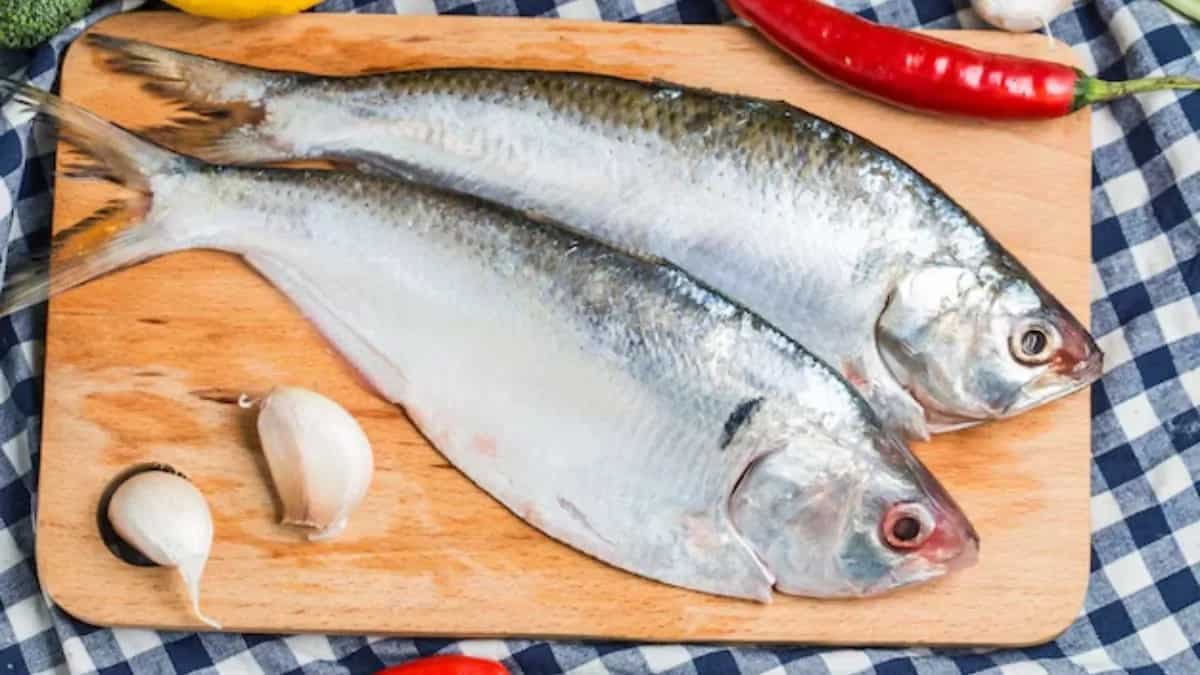 7 Hilsa Fish Dishes You Must Try At Least Once 