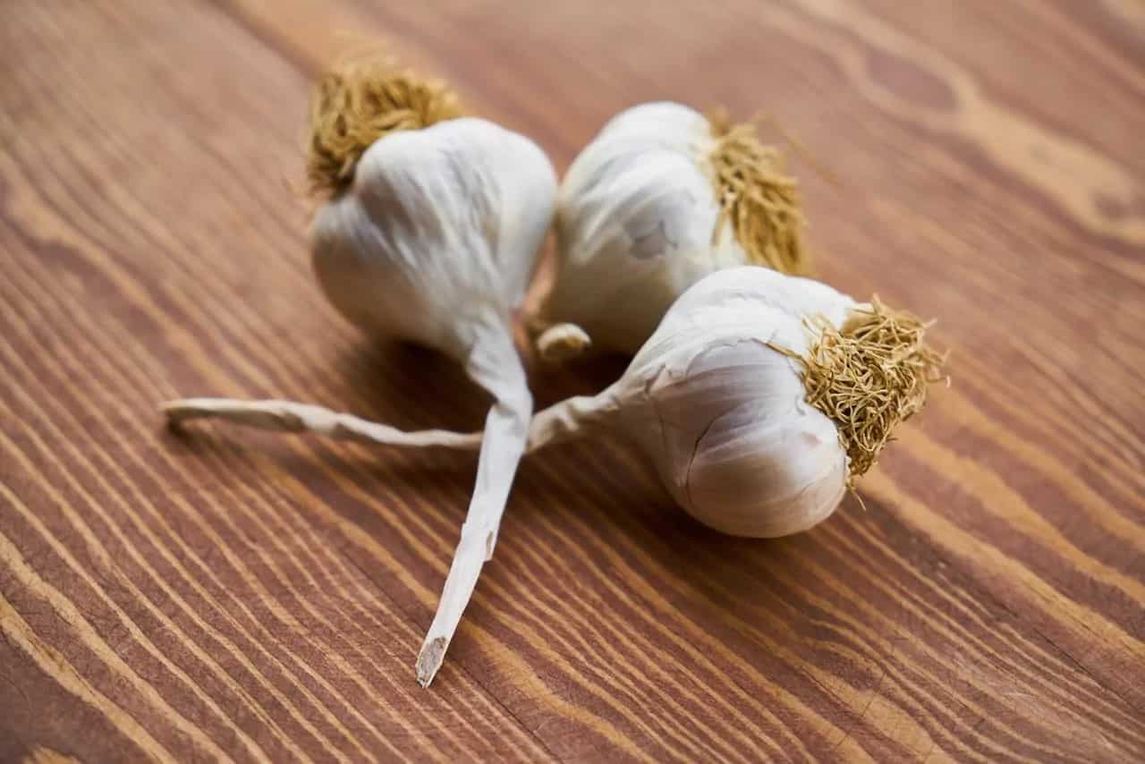 Want To Grow Garlic In Your Kitchen? Here's A Step-By-Step Guide