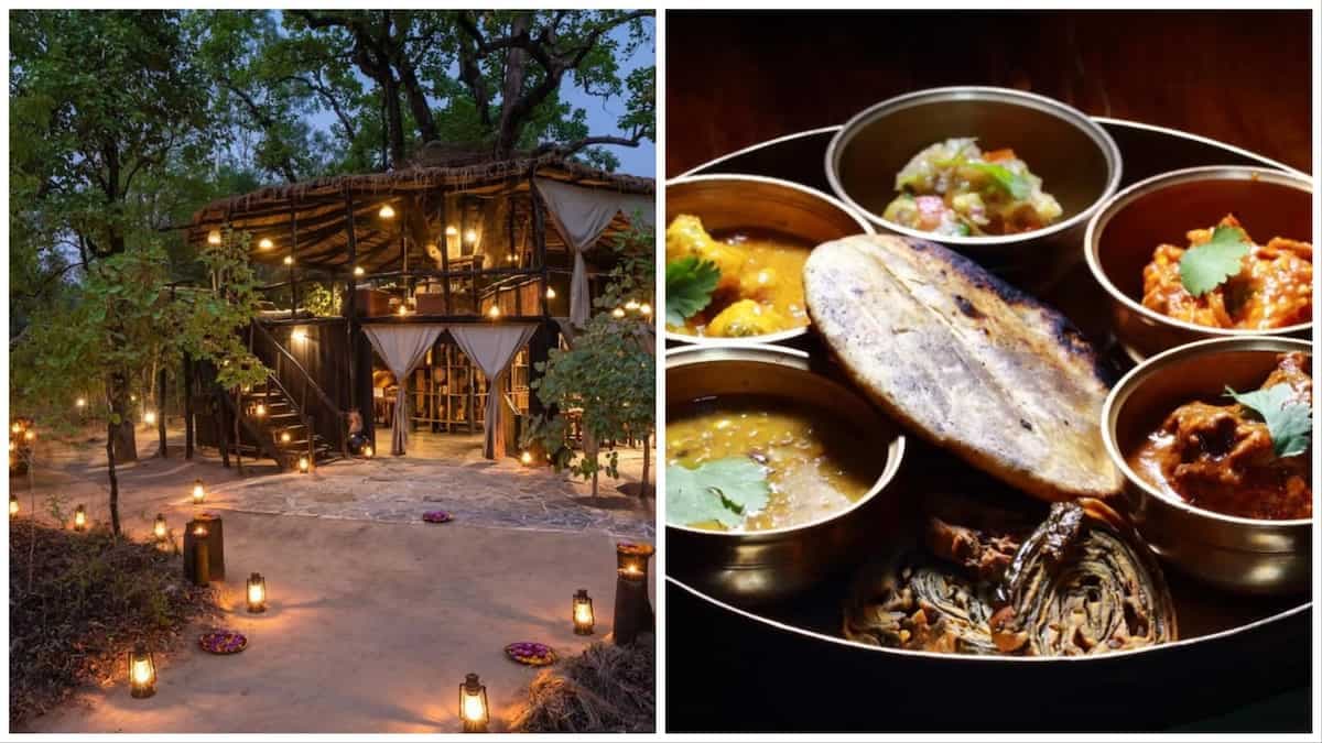 Experience Saoji Curries & Gond Thalis At A Tiger Reserve