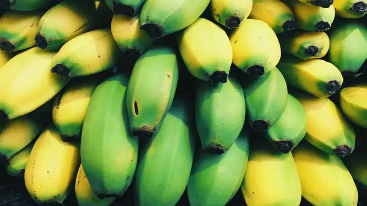 The Versatility Of Bananas: From Breakfast To Dessert