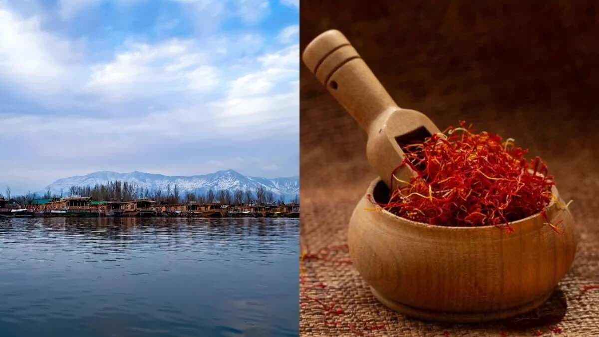 Food Safari In Jammu & Kashmir For Saffron, Walnuts & More
