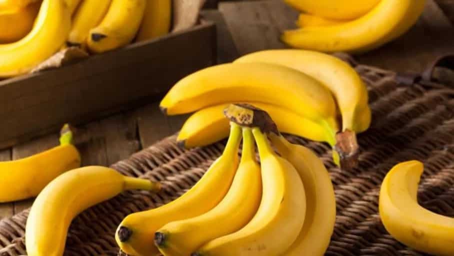 What's So Special About Robusta Bananas? 5 Things To Know