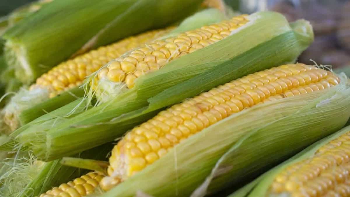 Corn