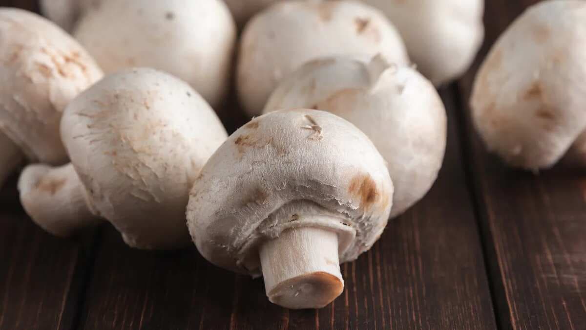 Is it risky to consume mushrooms during the monsoon season?