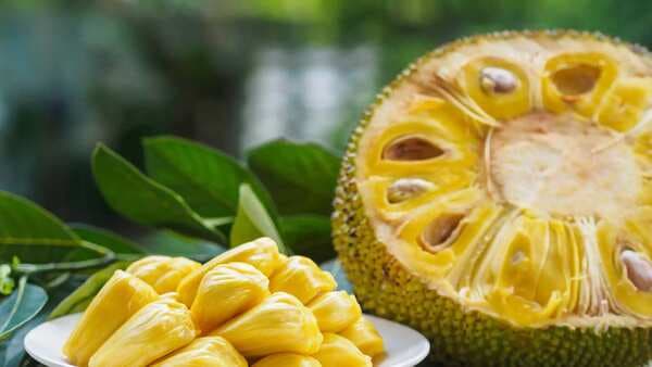 Should people suffering from diabetes have jackfruit aka kathal?