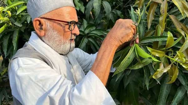 Ahead of National Mango Day, meet the mango man of India