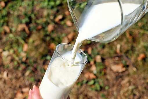Can Milk Consumption Increase Your Cholesterol Levels? 