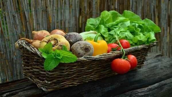 Are Organic Foods Healthier And Environment-Friendly? Know All About it