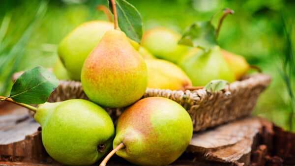 Have digestive issues? Here's how pears can help to cure them