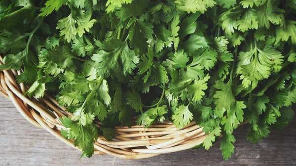 Coriander is not just perfect for chutney, but also your digestion and immunity!