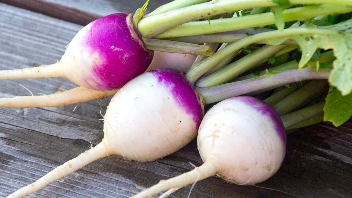 Manage diabetes with the power of turnips!